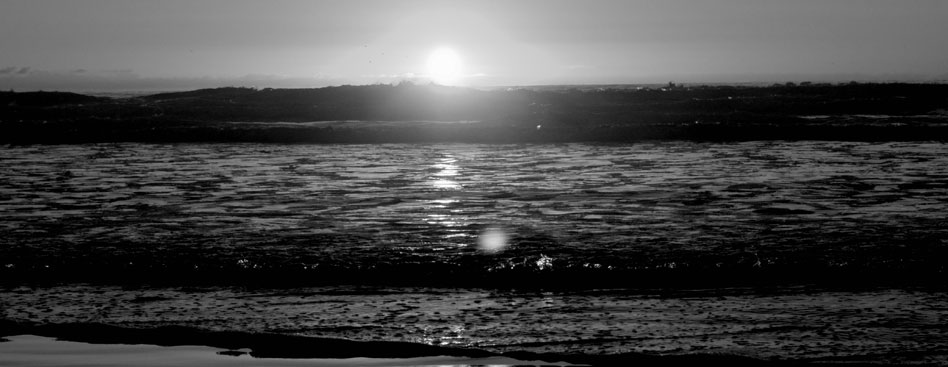 云呼死你轰炸免费网页平台